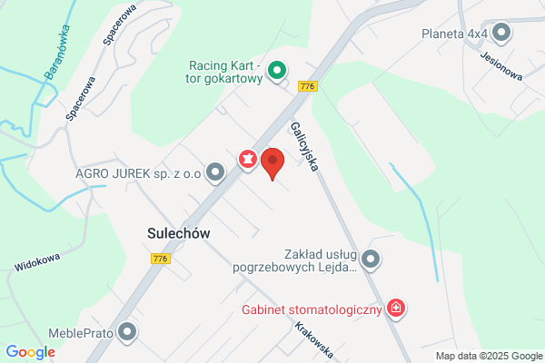 Diligens. Transport krajowy, miedzynarodowy, przewóz samochodów