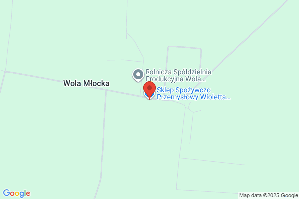 Kanik Wioletta. Sklep spozywczy