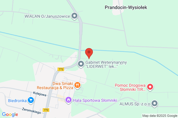 Slomniczanka. Klub sportowy