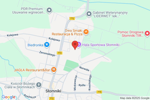 Szkola Podstawowa
