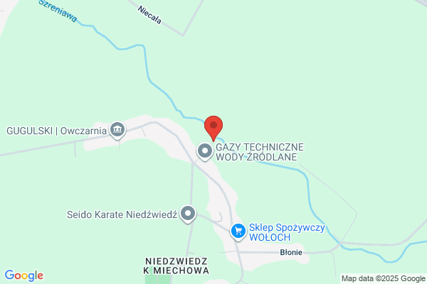 Transped-Land. Przewozy miedzynarodowe. Galkowski J.