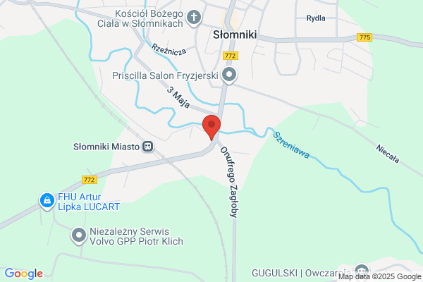 Zmigrodzki Janusz. Tynki gipsowe maszynowe