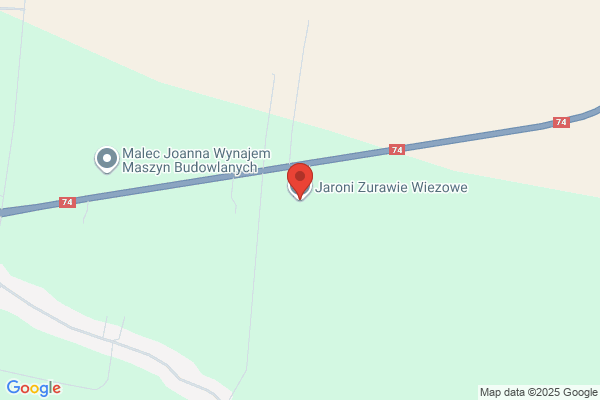 Maciej Jaroni Konserwacja Żurawi