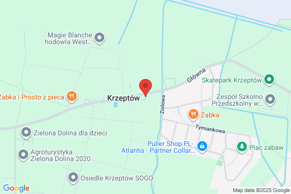 Jacek. Sklep spozywczy(
