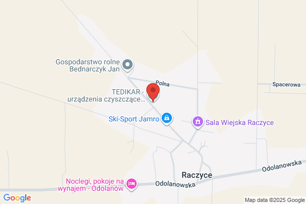 Tedikar. Skup, sprzedaz, kredyty samochodowe. Peterek K.