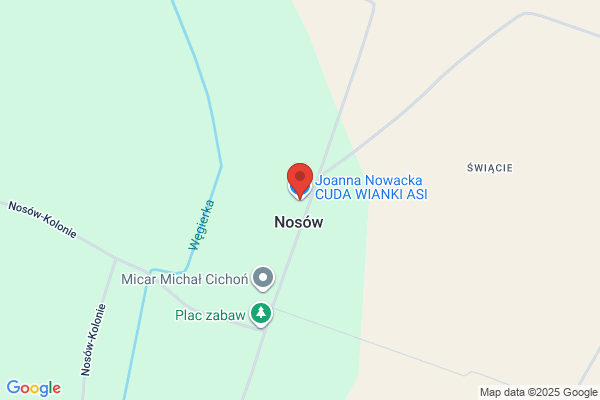 Ans. Nizinska-Stojek A.