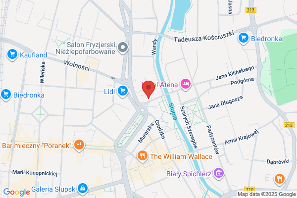 Plus. Osrodek szkolenia kierowców. Kostrzewa M.