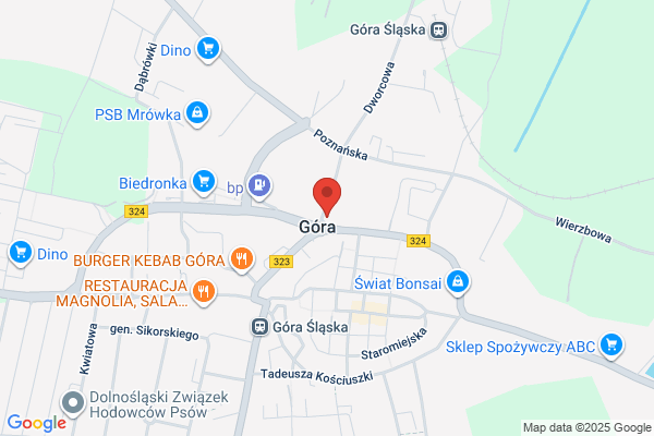 Szarek Ryszard, radca prawny