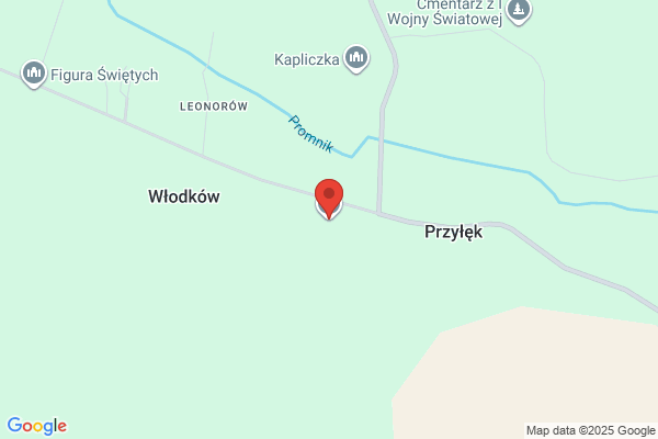 Specjalny Osrodek Szkolno - Wychowawczy