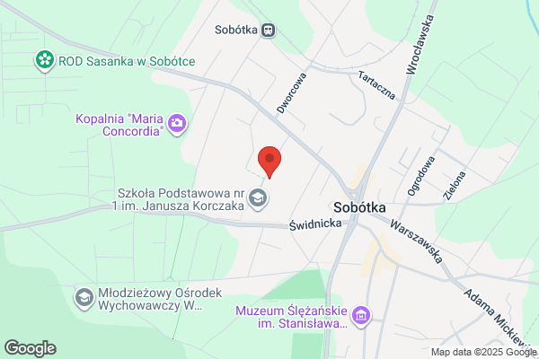 Dabrowski Aleksander. Elektromechanika