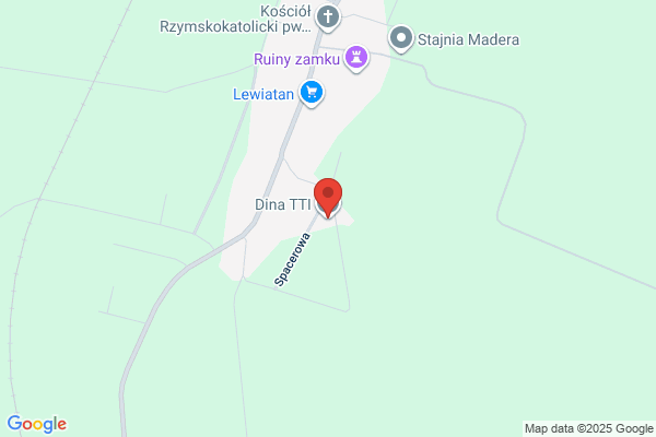 Dina TTI. Transport krajowy i zagraniczny, przeprowadzki