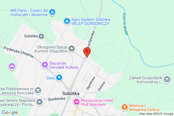 Polski Koncern Naftowy Orlen SA. Stacja paliw
