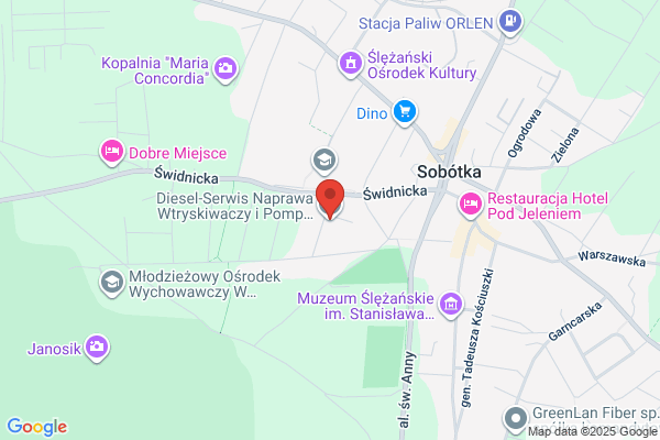 Wolski Dominik. Autoblcharstwo