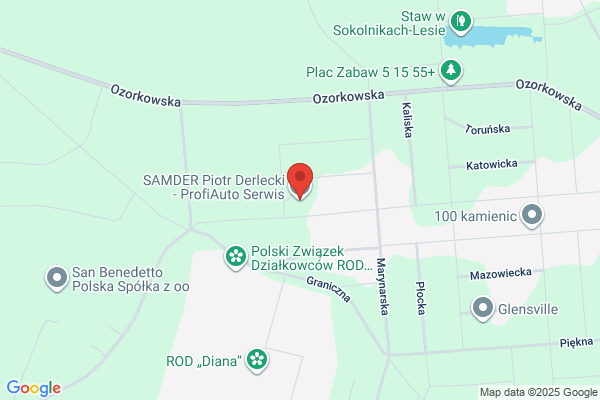 Bracia Frank. Elektromechanika pojazdowa