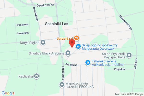 Wojciechowski Roman. Uslugi hydrauliczne