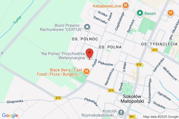 Cien Z. Lecznica dla zwierzat