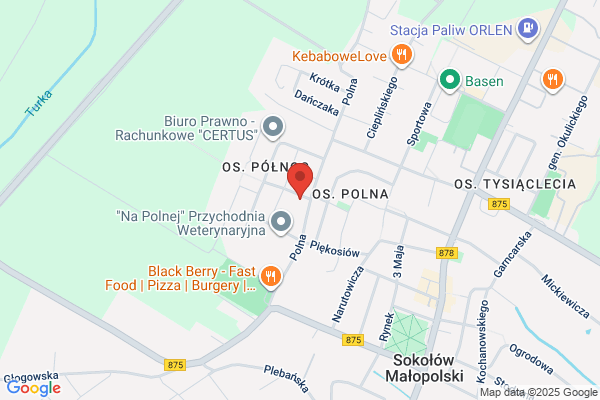 Karina. PPH. Balamut S.S., Pyska K.