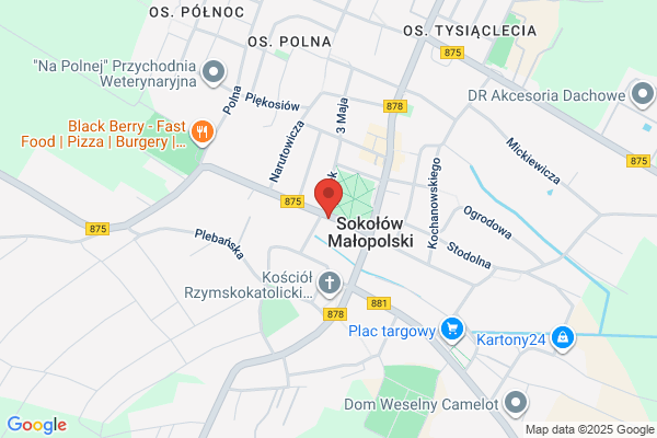 Serwis Elektronika. Prucnal W.