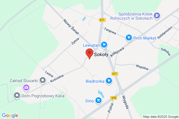 Parafia rzymskokatolicka Wniebowziecia NMP
