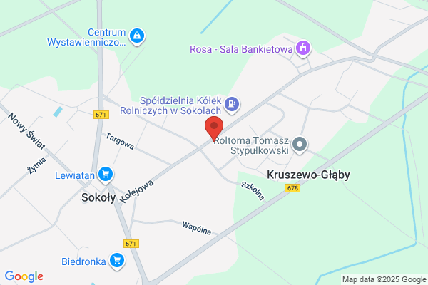 Srednicki Kamil. Uslugi samochodowe