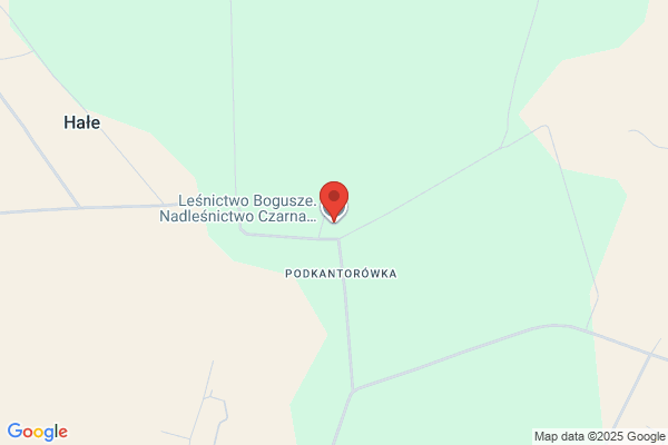 Lesnictwo Bogusze. Nadlesnictwo Czarna Bialostocka