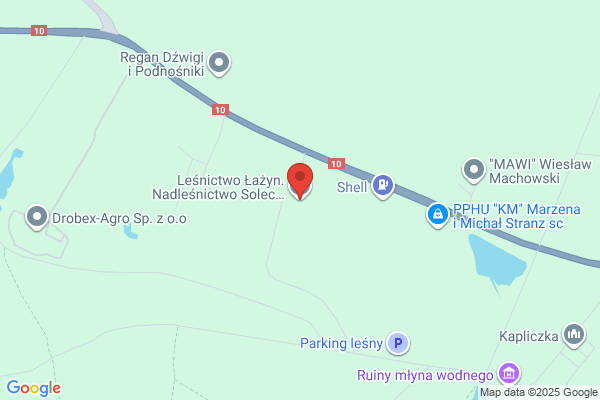 Lesnictwo Lazyn. Nadlesnictwo Solec Kujawski