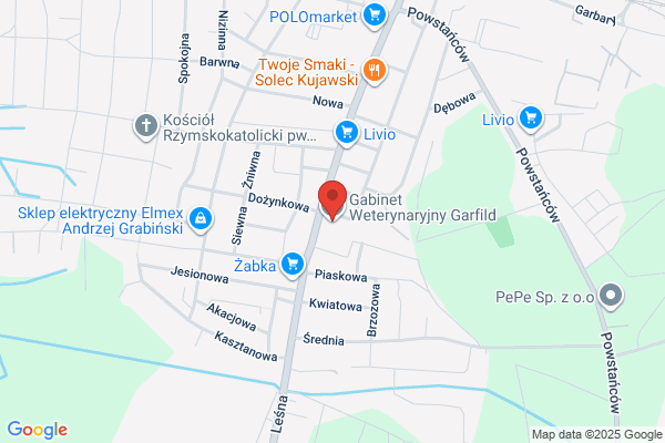 Markiewicz Krzysztof. Gabinet weterynaryjny
