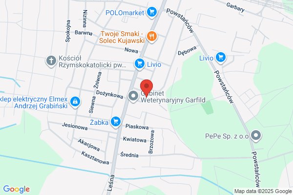 Piotrowski Andrzej. Uslugi transportowe