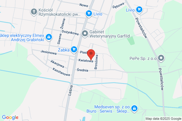 Siemianowska Jolanta. Uslugi parkingowe