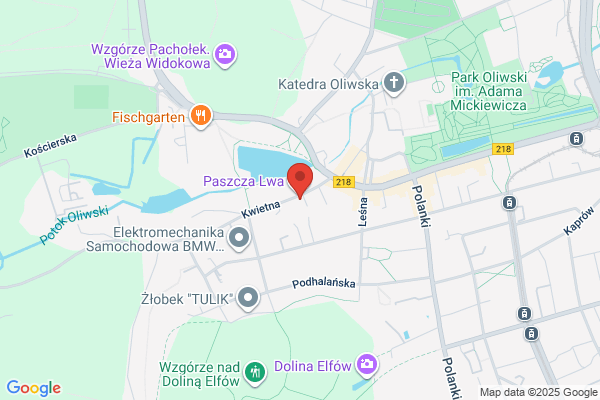 JBB. Chodorowska S.