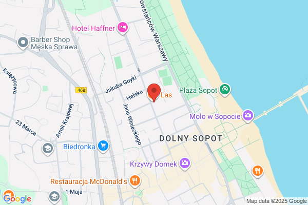 Cafe Y Son. Agencja artystyczna. Gluszko M.