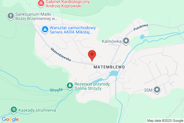 Krajewski Maciej. Firma dzwigowo - transportowa