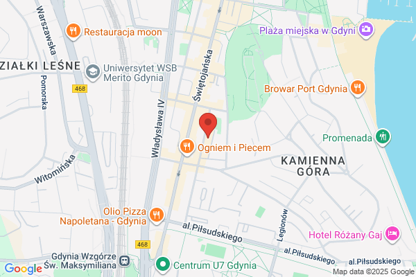 Geoidea. Uslugi geodezyjno - kartograficzne. Orlowski T., inz.