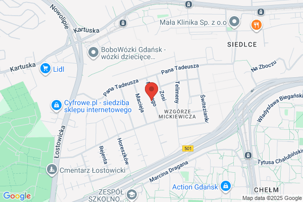 Kubicki Grzegorz. Uslugi geodezyjne