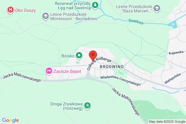 Interecho SC. Uslugi internetowe