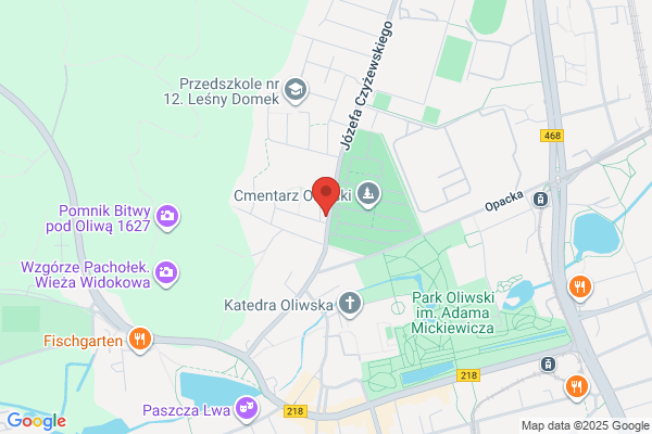 Irys. Kwiaciarnia. Grodecka W.
