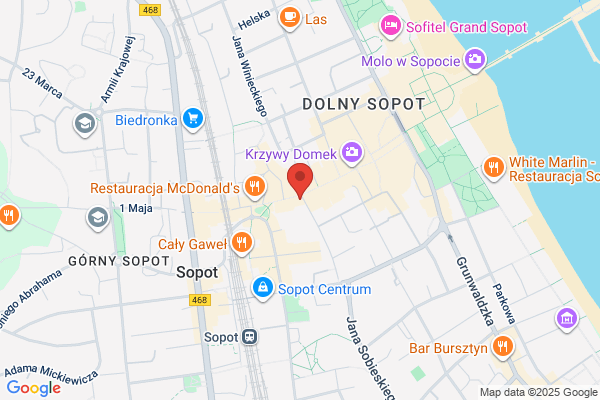 Storczyk. Kwiaciarnia