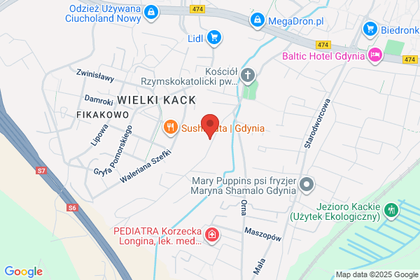 Witt Adam. Biuro rachunkowe