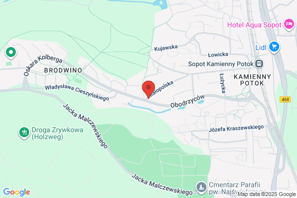 Kobylanska Janina. Fizjoterapia
