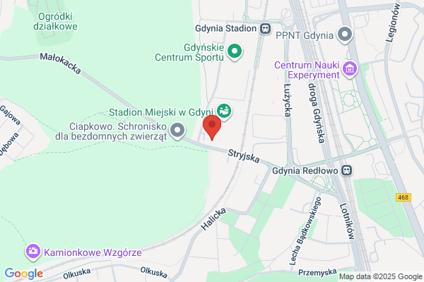 Arka Gdynia. Sportowa Spólka Akcyjna