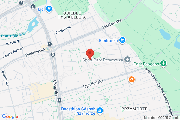 Ermusz Malgorzata. Tlumacz przysiegly jez. francuskiego