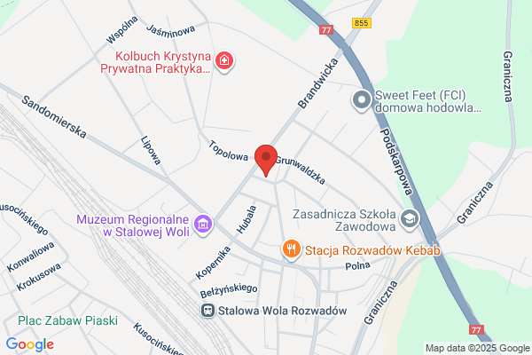 Jaworski Witold. Projektowanie i wykonawstwo kominków