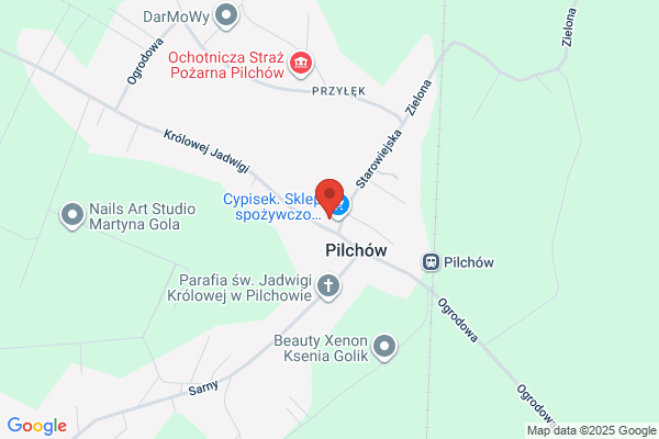 Ludowy Zespól Sportowy