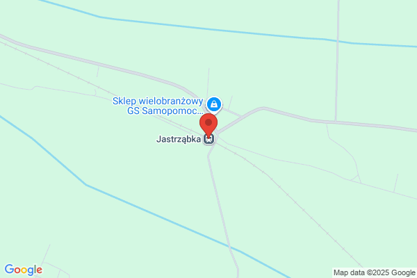 Lid. Uslugi kolejowe, drogowe, komunalne. Lipinski R.