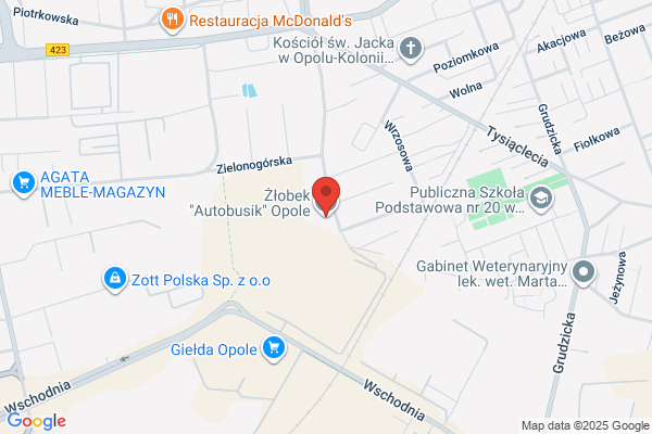 Dynamika. Fitness club. Wierzbicka D.