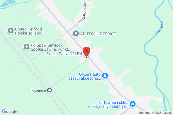 Polski Koncern Naftowy Orlen SA. Stacja paliw