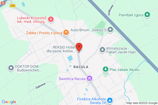 Reksio. Sklep zoologiczny