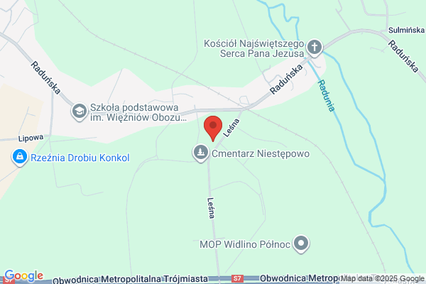 Larix. Projektowanie ogrodów i terenów zieleni. Szerszen R.