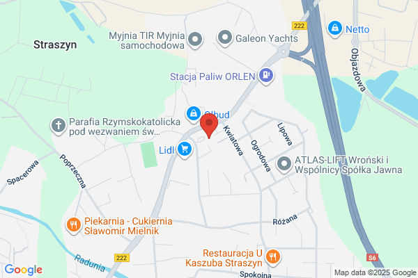 Maxis. Zabkiewicz P.