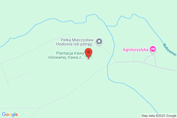 Meczkowski Janusz. Plantacja trawników, produkcja darni
